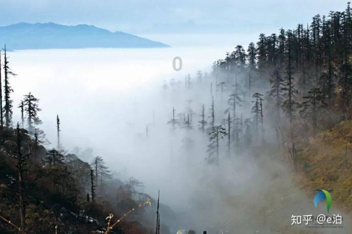 历史问题：程昱没荀彧厉害么？荀彧见了程昱就叫“仲德”，而程昱见了荀彧就叫“先生”，是怎么回事？游戏画面