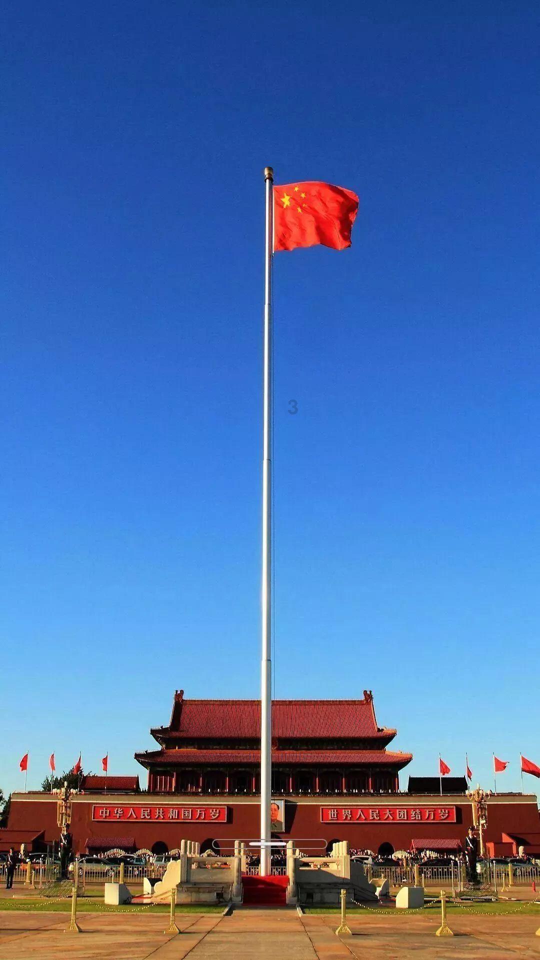 奔跑的兔子