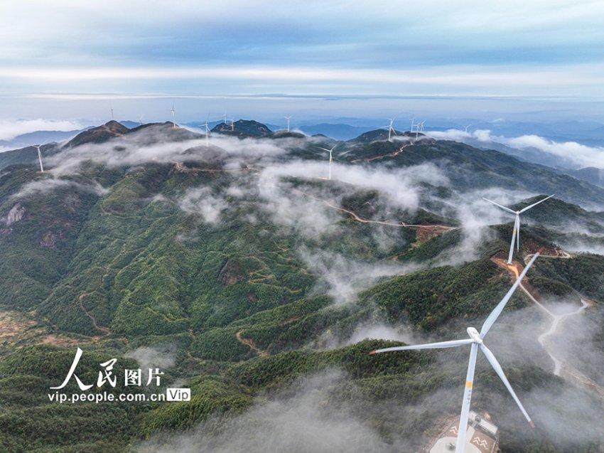 探索一瓶2升的饮料开盖之后能放多久?,发现有趣内容!