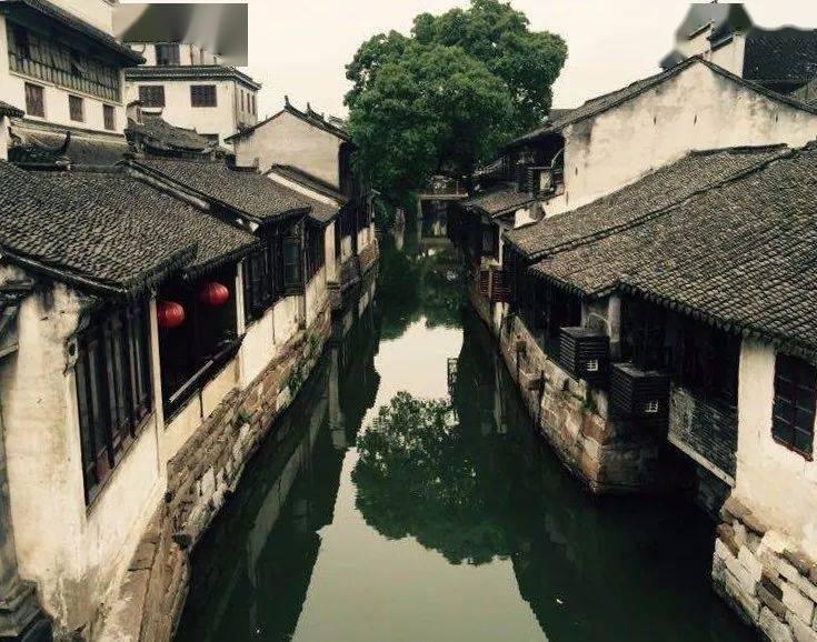 宠物世界聚会